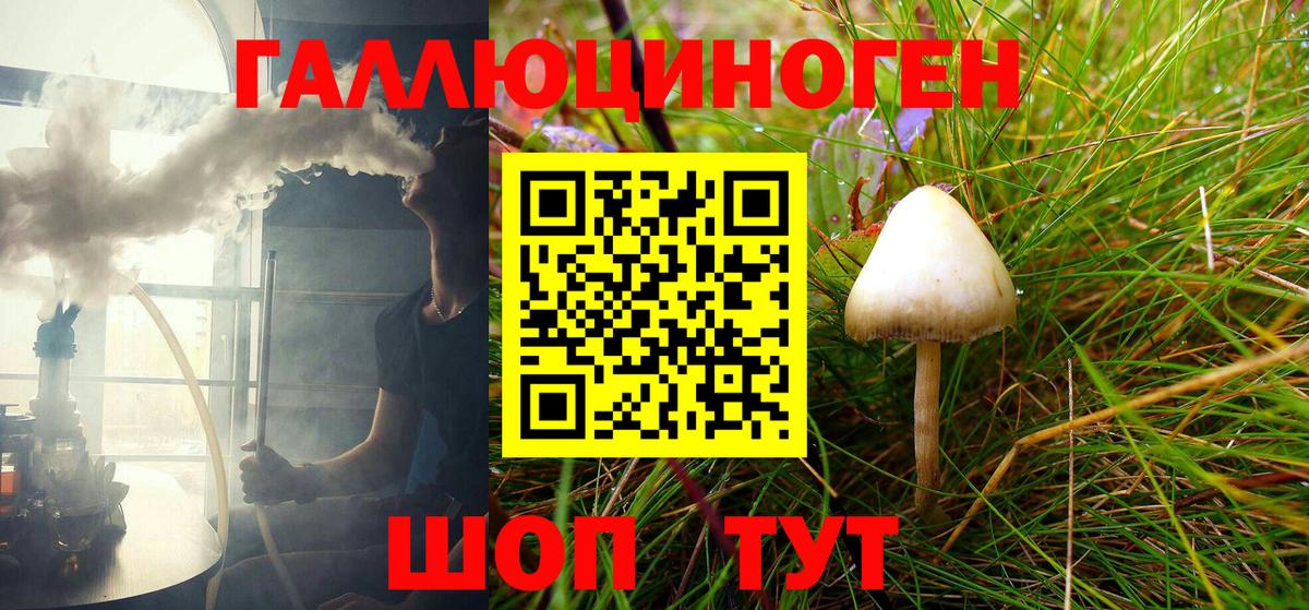 Псилоцибиновые грибы Cubensis  дарнет шоп  Свободный  Вход с VPN 