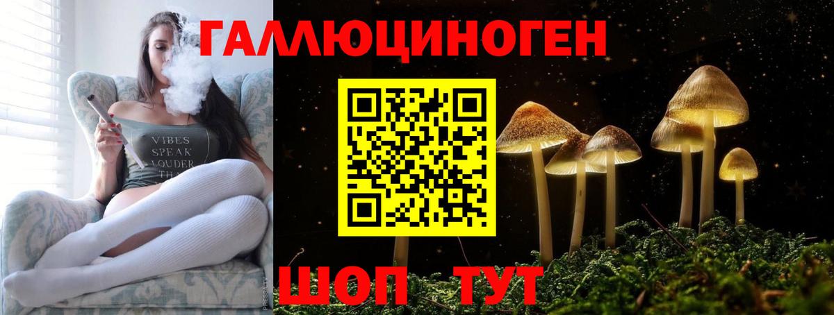 Псилоцибиновые грибы Psilocybe Свободный